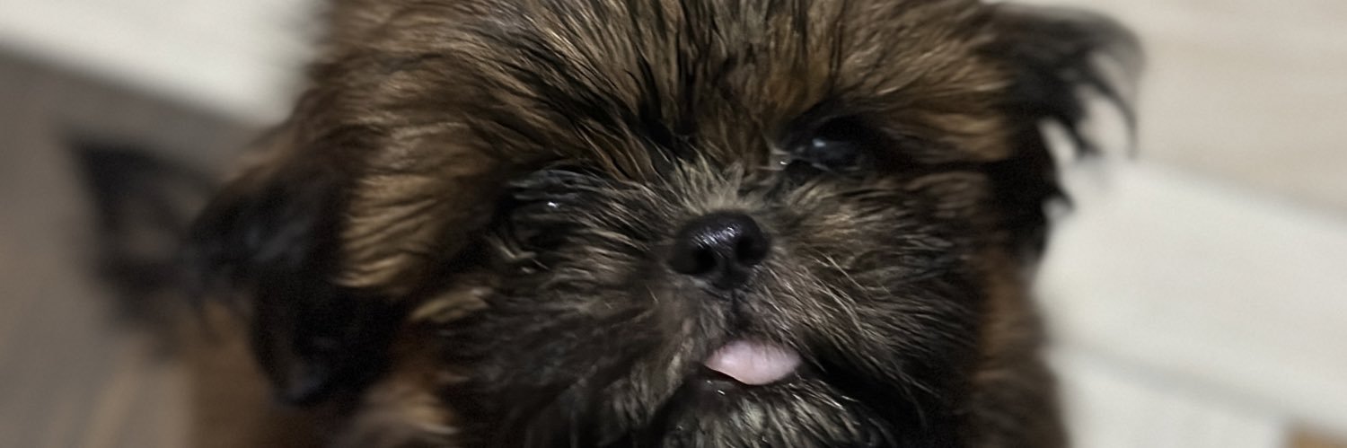 freshasf1sh's profile banner image