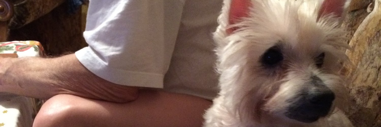 lidasol1's profile banner image