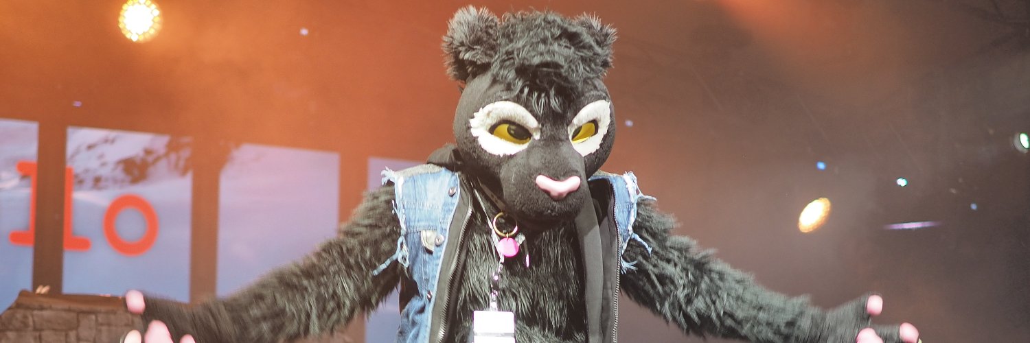 Shads NFC 🇸🇪 Twitch cat banner