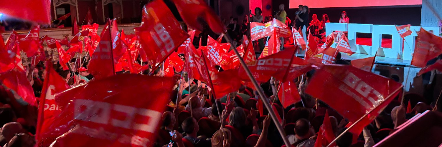 Peset_CCOO's profile banner image