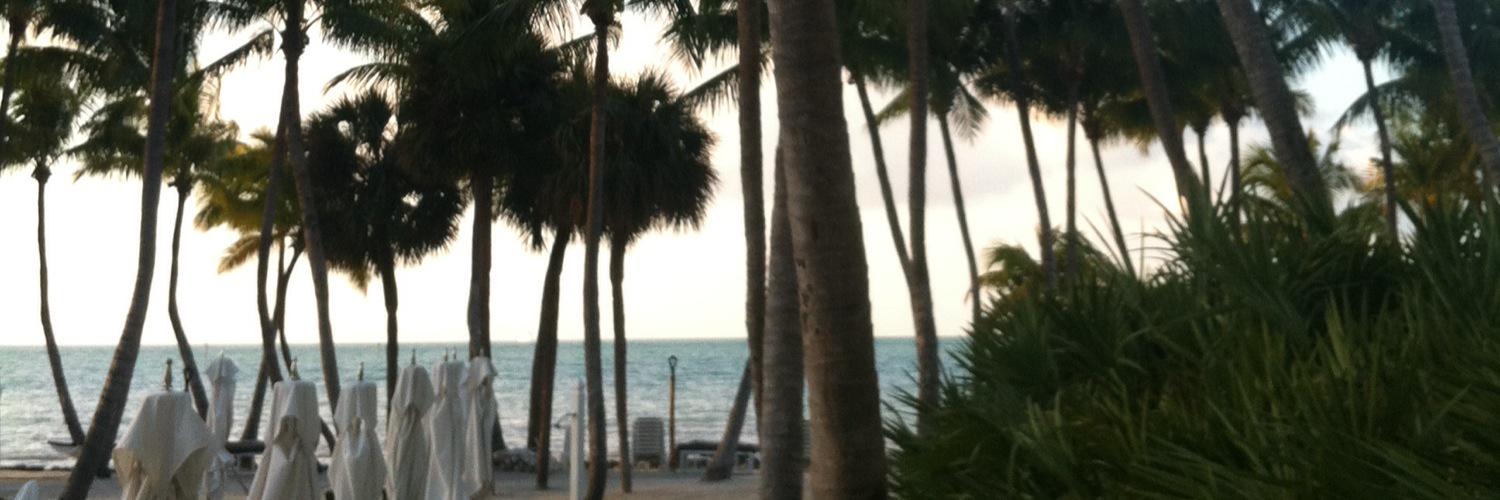 vulkum's profile banner image