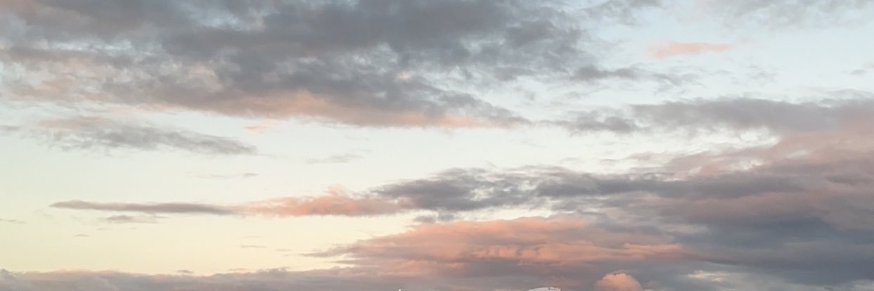 Tayah_P's profile banner image