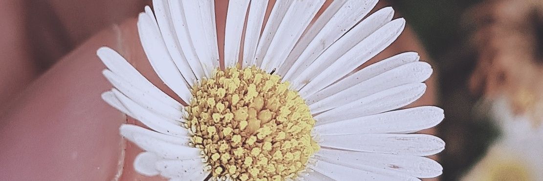 uniqueeniall's profile banner image