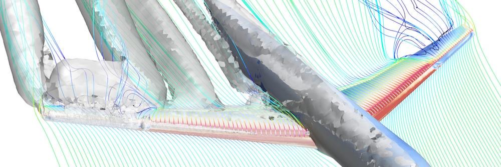 engdancili's profile banner image