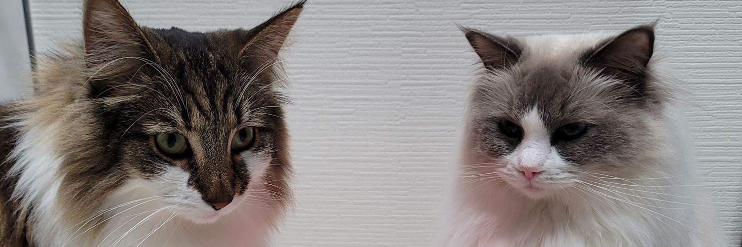 gaury234's profile banner image