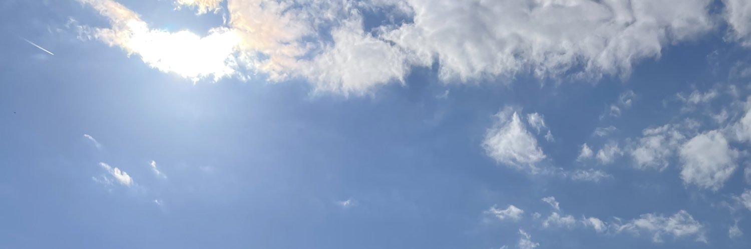 ookuninushisan's profile banner image