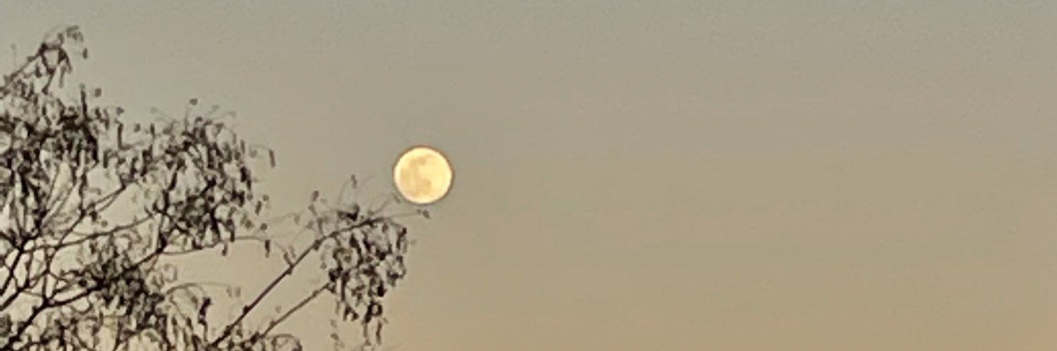 ChrisAngerman's profile banner image