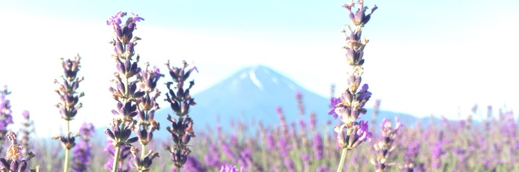 oguma_2929's profile banner image