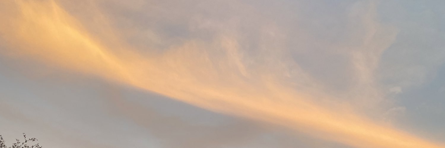 neph401's profile banner image