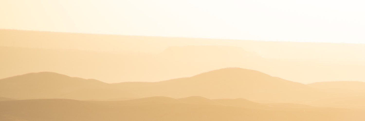 RohamFloyd's profile banner image