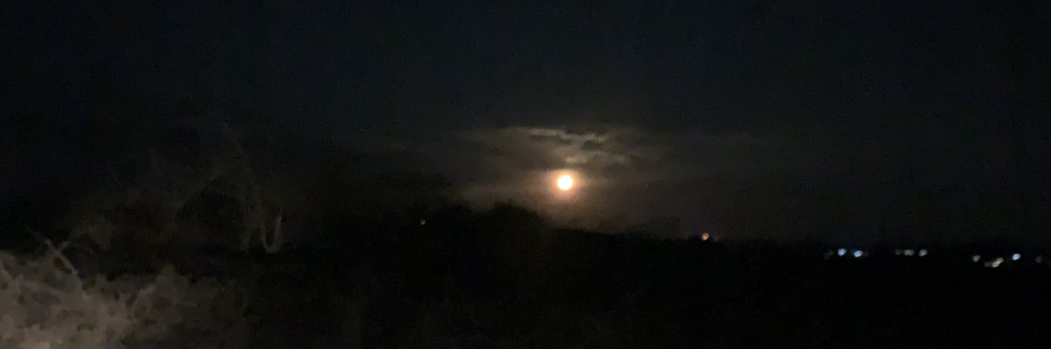 mogashoat1's profile banner image