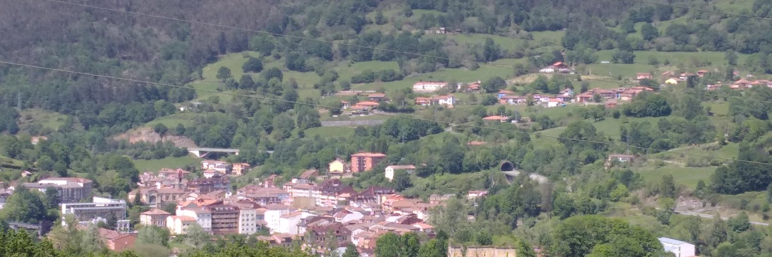 pedronoemi's profile banner image