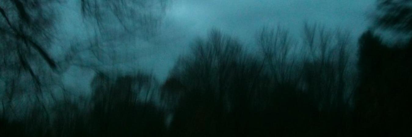 Mentaallyill's profile banner image