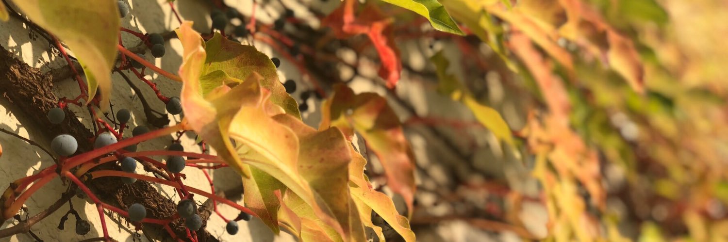 jarmansan's profile banner image
