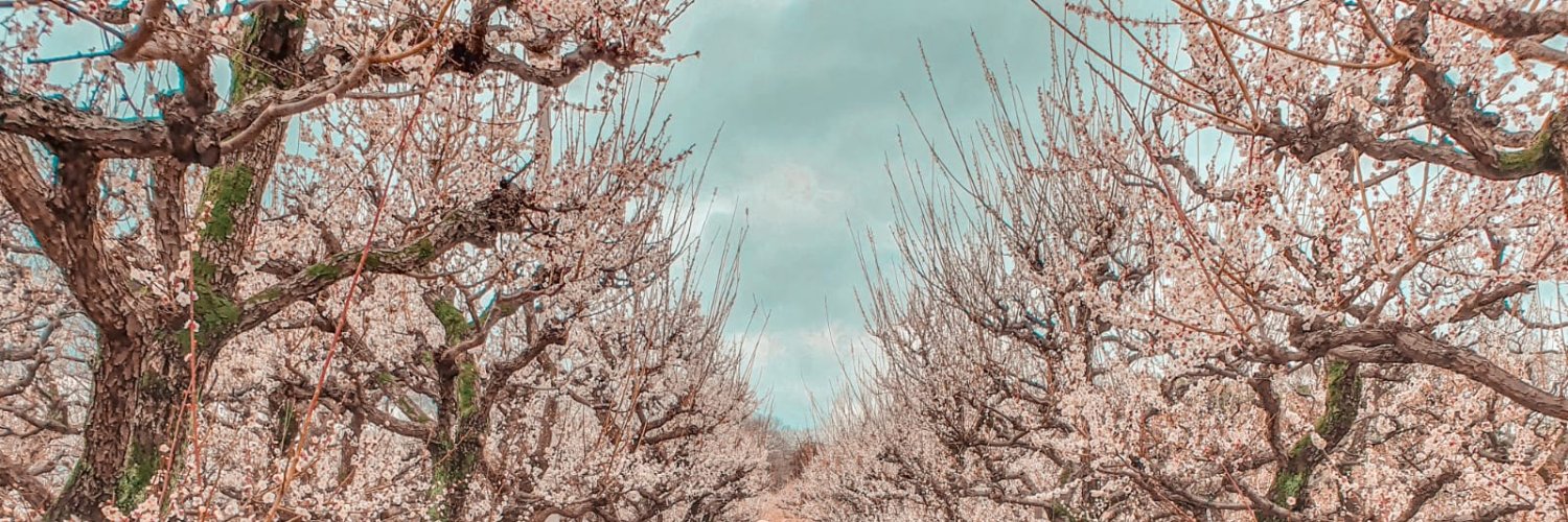 AdeleaPermata's profile banner image