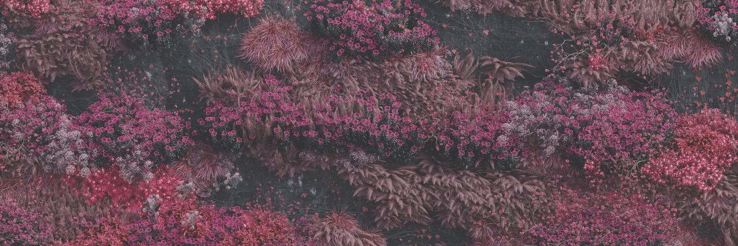 Adri banner