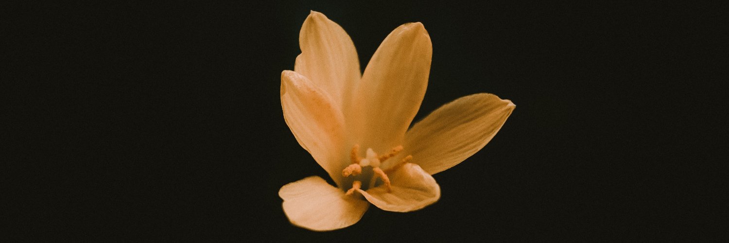 vij_oo's profile banner image