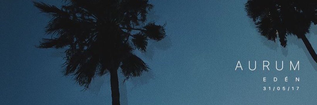 AurumFans's profile banner image
