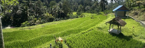 AlexCaige Profile Banner