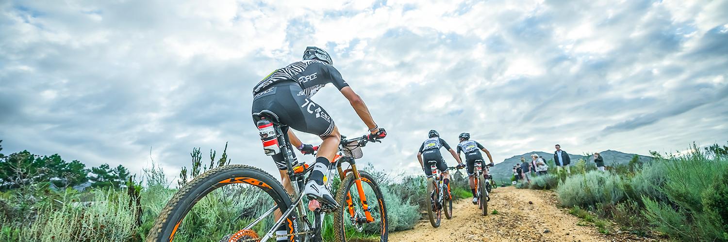 squadrawilier's profile banner image