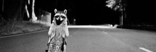 Fuuuuckyeah's profile banner image