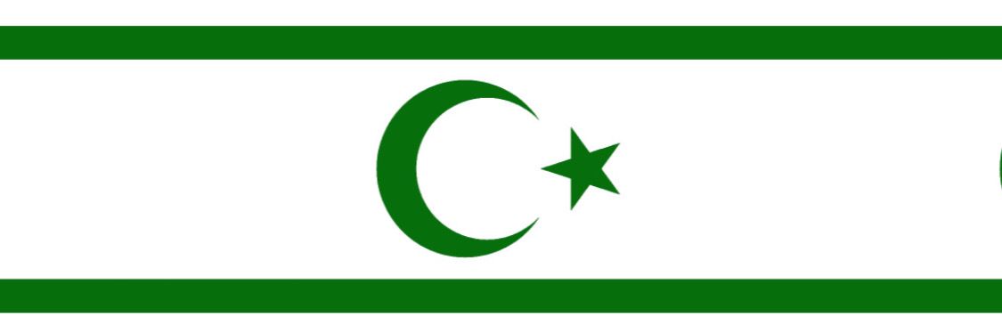 Lübnan Türkleri Öğrenci ve Gençler Derneği {LTÖGD} banner