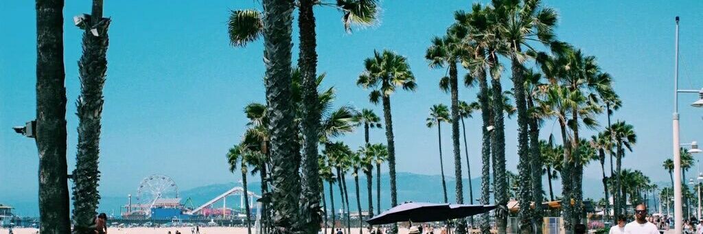 🌻 banner