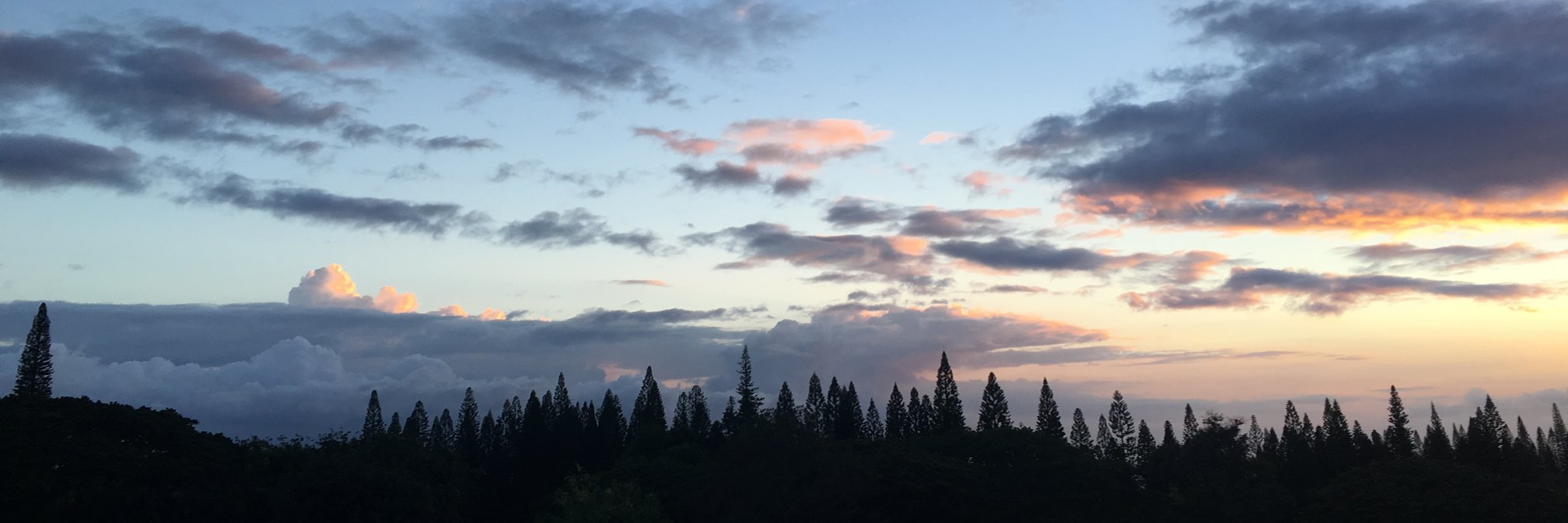 karengoold's profile banner image