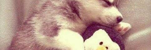 97Jkk_bts's profile banner image