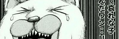 MFCKEN's profile banner image