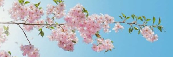 khaimaweyah's profile banner image