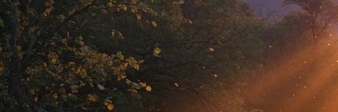 esrasener9's profile banner image