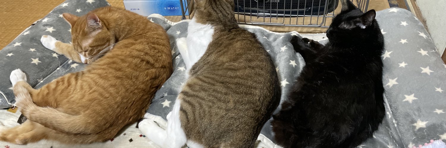 shungo(しんぱち) banner