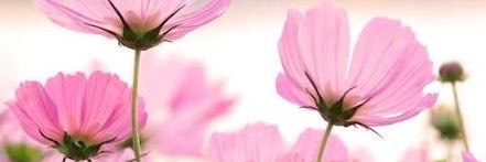 rani_grantham's profile banner image