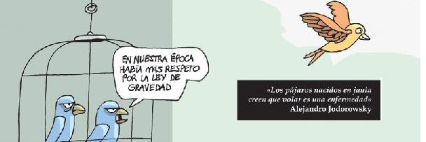 cristian_caedro's profile banner image