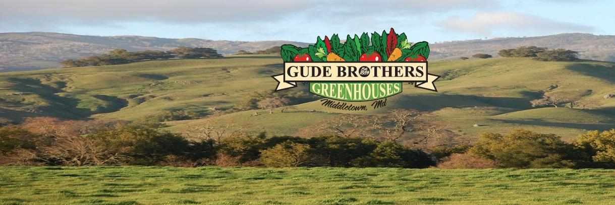 GudeBrothers's profile banner image