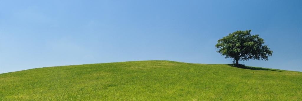 d1shcl0th's profile banner image