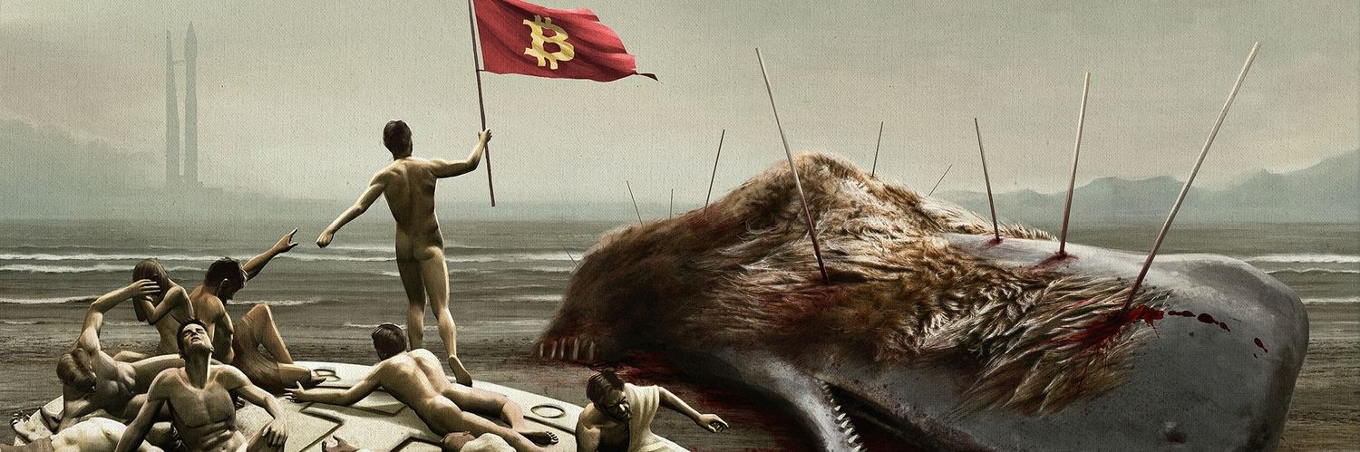 defi3000's profile banner image