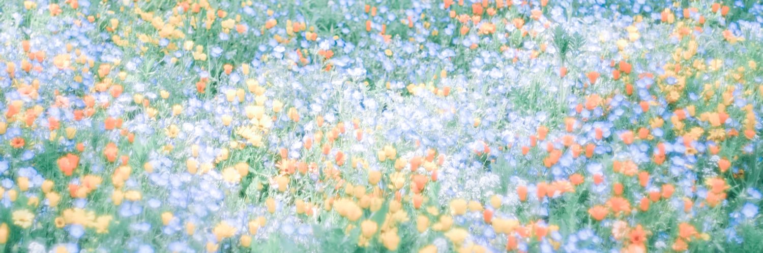 よたか's banner
