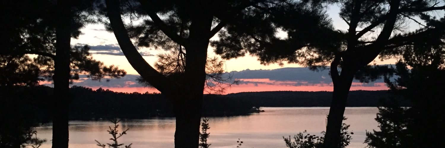 Carrie Kernohan banner