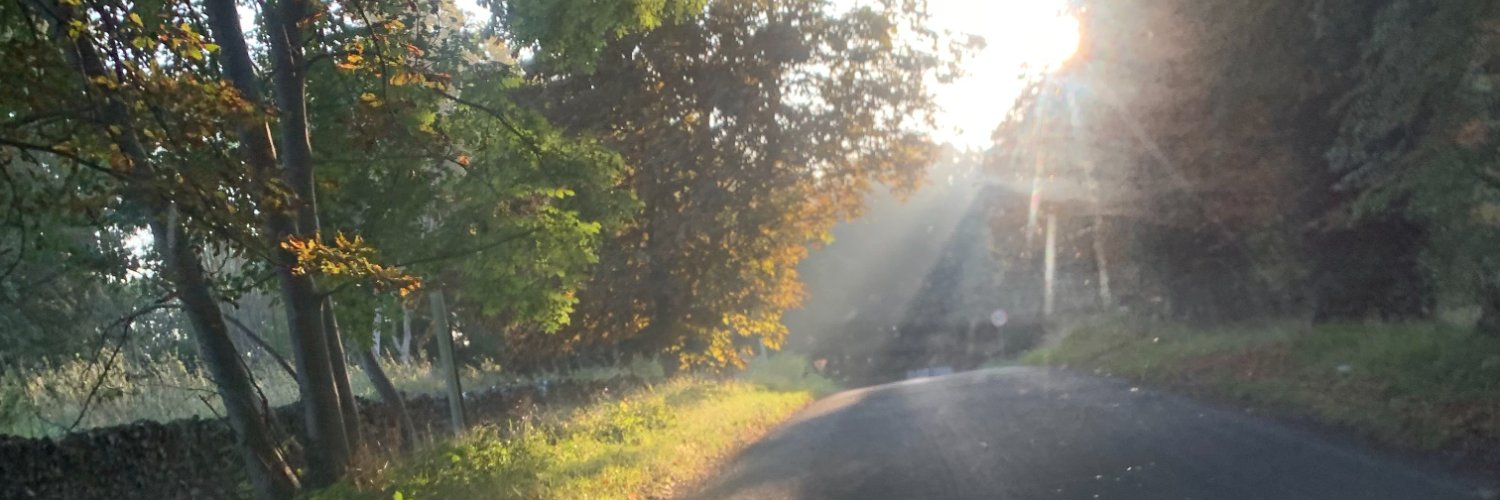 ohfiddlestixxx's profile banner image