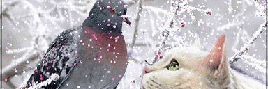 lennonbjk's profile banner image