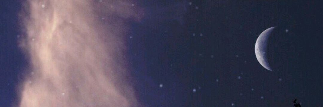oli_adri's profile banner image