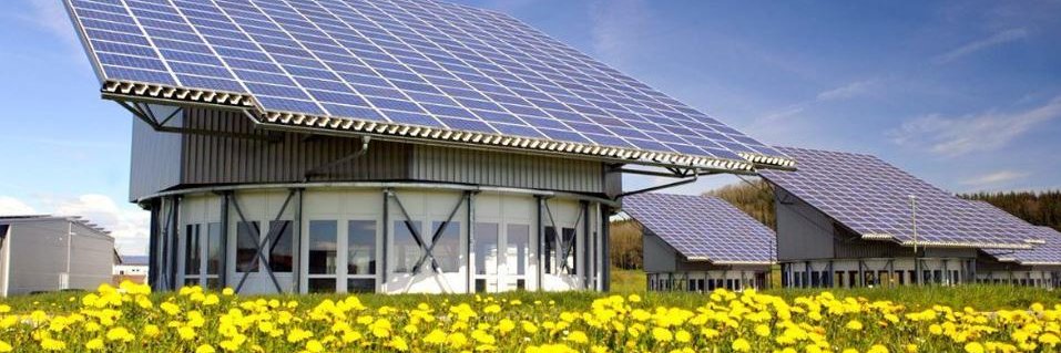 Longevity Partners banner