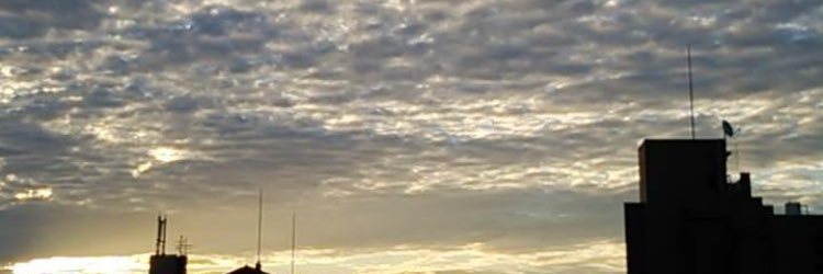rivea150's profile banner image