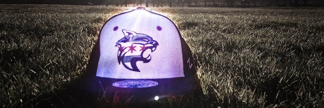 Friends of Lake View High School banner