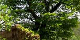 jang5377's profile banner image