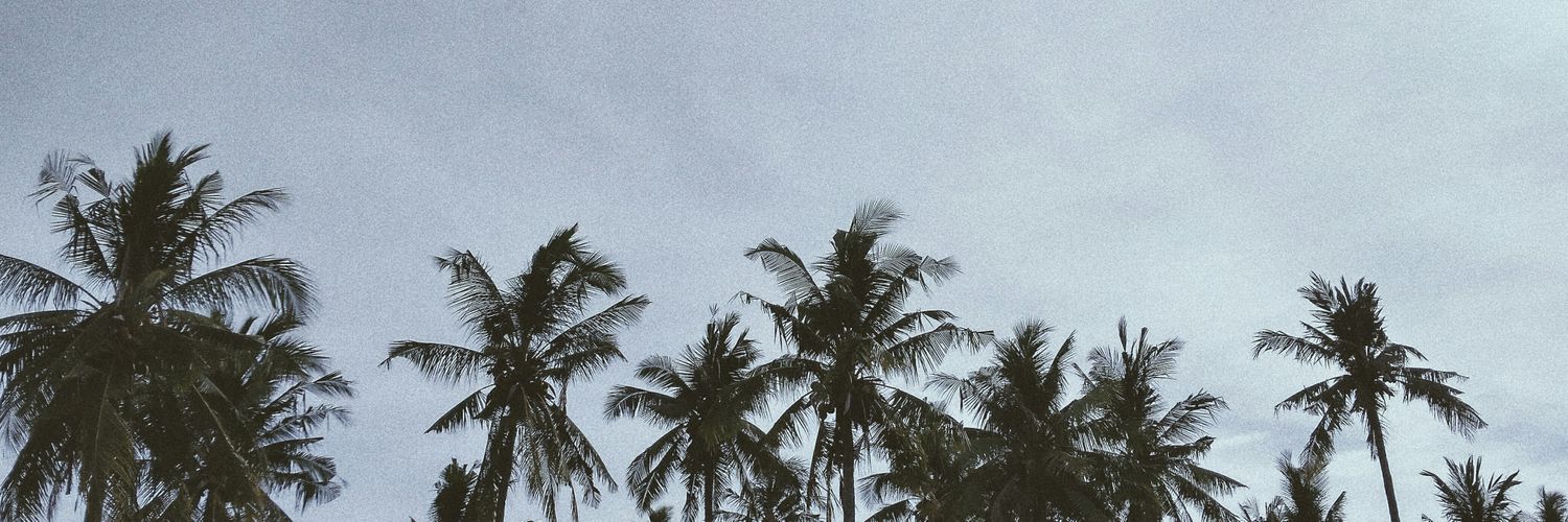 meinadyas's profile banner image