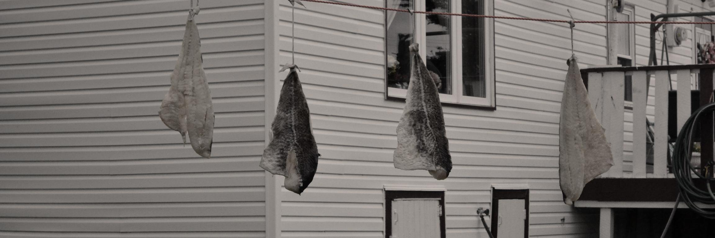 TerraMBarrett's profile banner image
