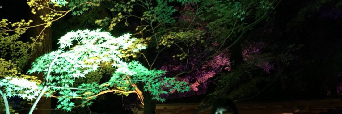 akamina0819's profile banner image